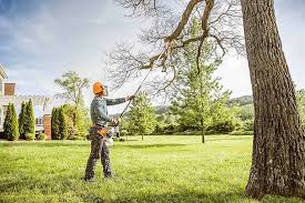 Best Leaf Removal  in North Hudson, WI
